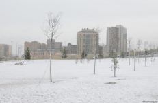 Фоторепортаж из заснеженного Баку