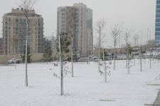Фоторепортаж из заснеженного Баку