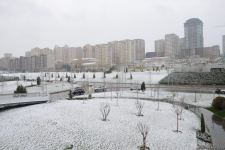 Фоторепортаж из заснеженного Баку