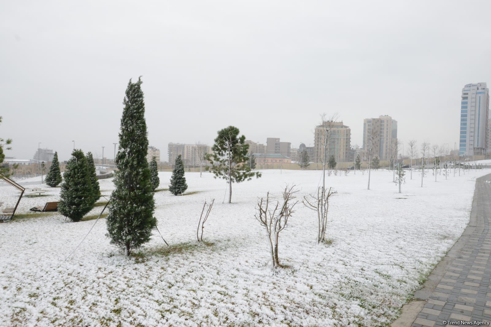 Фоторепортаж из заснеженного Баку