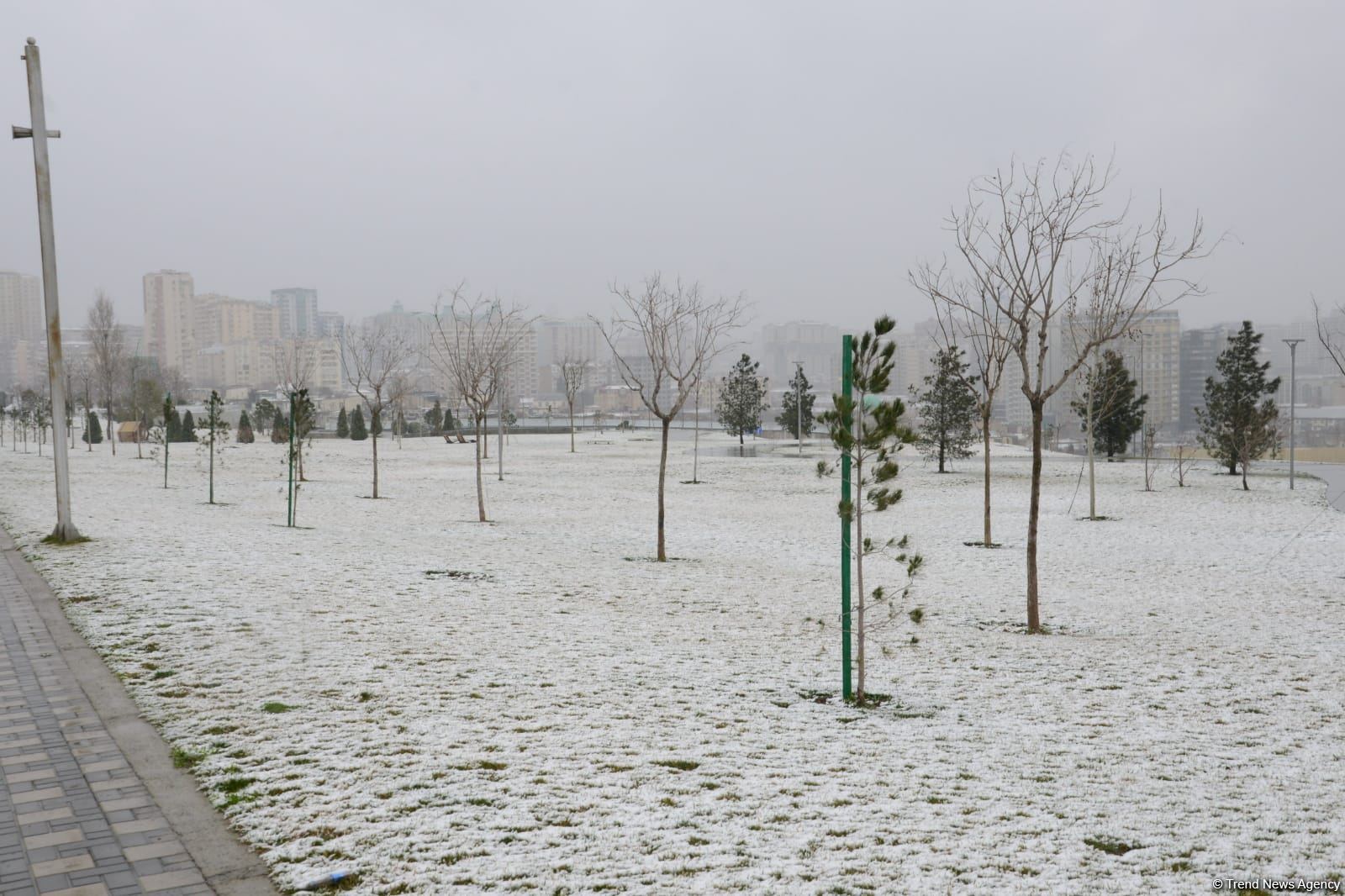 Фоторепортаж из заснеженного Баку