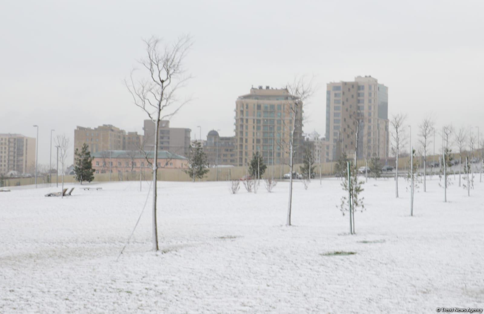 Фоторепортаж из заснеженного Баку