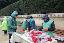 На территории Аллеи шехидов в Баку проводятся работы по благоустройству (ФОТО)