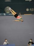 First day of FIG Trampoline Gymnastics World Cup kicks off in Baku (PHOTO)