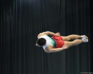 First day of FIG Trampoline Gymnastics World Cup kicks off in Baku (PHOTO)
