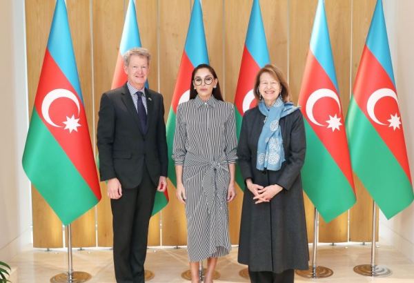 First Vice-President Mehriban Aliyeva meets with UK Prime Minister's Trade Envoy to Azerbaijan (PHOTO/VIDEO)