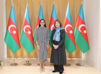 First Vice-President Mehriban Aliyeva meets with UK Prime Minister's Trade Envoy to Azerbaijan (PHOTO/VIDEO)