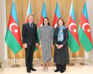 First Vice-President Mehriban Aliyeva meets with UK Prime Minister's Trade Envoy to Azerbaijan (PHOTO/VIDEO)
