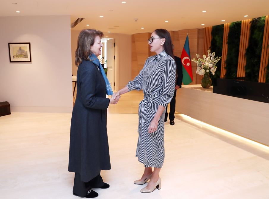 First Vice-President Mehriban Aliyeva meets with UK Prime Minister's Trade Envoy to Azerbaijan (PHOTO/VIDEO)