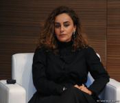 Azerbaijani minister talks about cultural project related to Shusha (PHOTO)