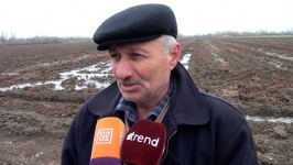 На освобожденных территориях сданы в эксплуатацию артезианские скважины - фермеры благодарят Президента Ильхама Алиева (репортаж Trend TV)