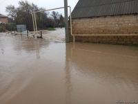 В Масаллы вышедшая из берегов река затопила село (ФОТО/ВИДЕО)