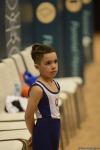 Стартовал первый день соревнований Первенства Азербайджана и Чемпионата Баку по спортивной гимнастике (ФОТО)