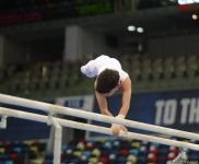 Стартовал первый день соревнований Первенства Азербайджана и Чемпионата Баку по спортивной гимнастике (ФОТО)