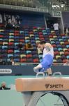 Second day of FIG Artistic Gymnastics Apparatus World Cup starts in Baku (PHOTO)