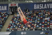 Second day of FIG Artistic Gymnastics Apparatus World Cup starts in Baku (PHOTO)