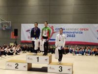 Azerbaijani gymnasts win seven medals at international tournament in Czech Republic (PHOTO)