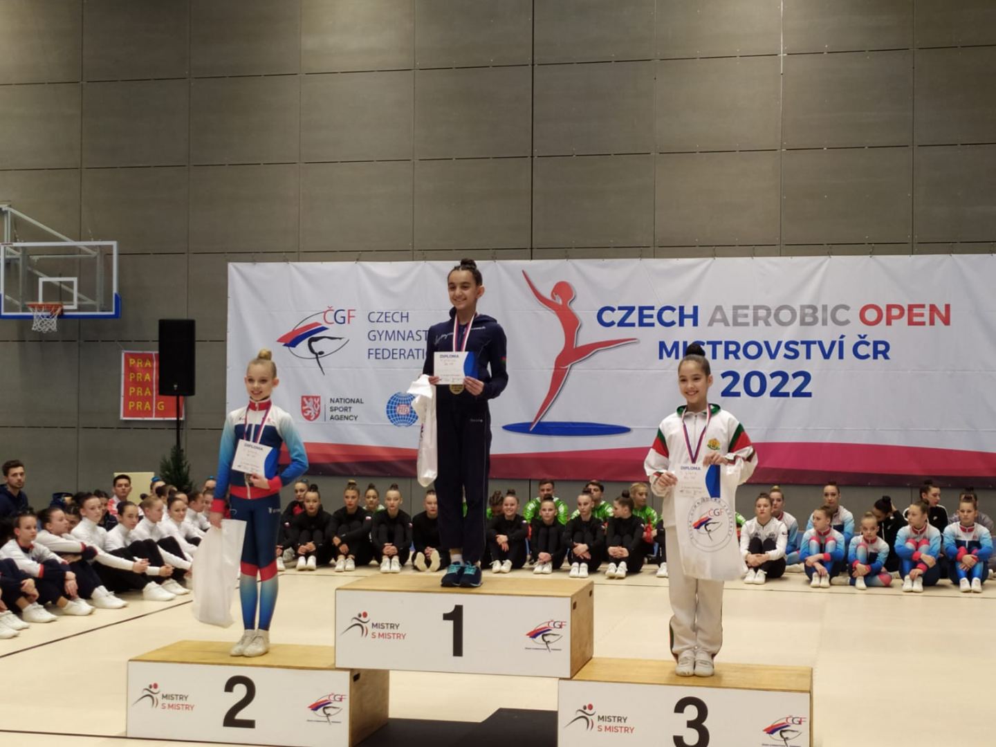 Azerbaijani gymnasts win seven medals at international tournament in Czech Republic (PHOTO)