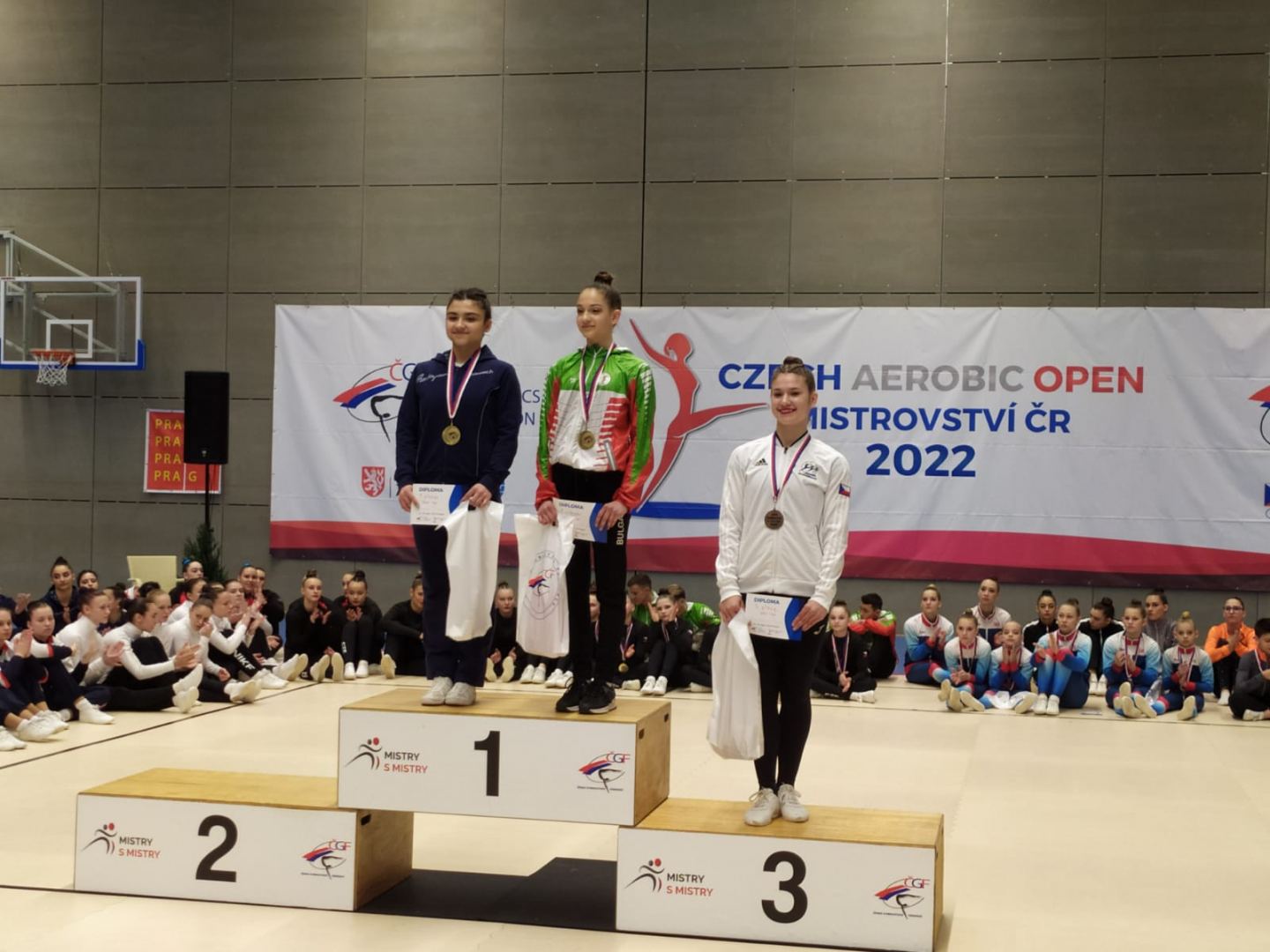Azerbaijani gymnasts win seven medals at international tournament in Czech Republic (PHOTO)