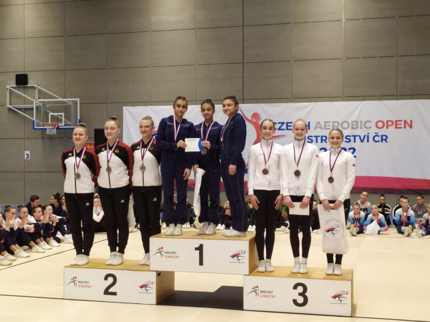 Azerbaijani gymnasts win seven medals at international tournament in Czech Republic (PHOTO)