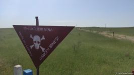 Delegation of representatives of international think tanks familiarize with demining process in Azerbaijan’s Karabakh (PHOTO)