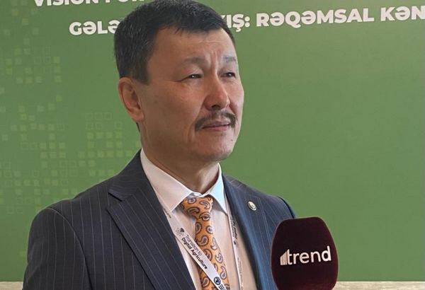Kyrgyzstan negotiating with Azerbaijan's Azercosmos company - deputy minister