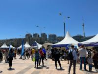 EU happy to share European culture with Azerbaijan -  ambassador (PHOTO)