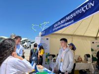 EU happy to share European culture with Azerbaijan -  ambassador (PHOTO)