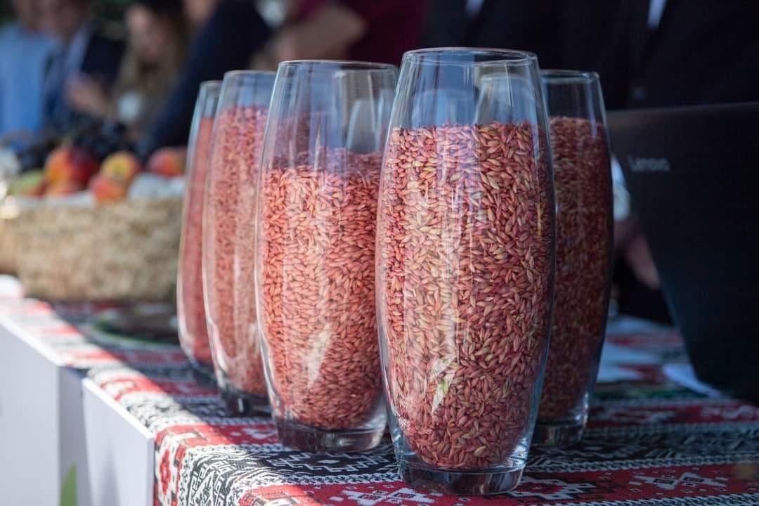 Первый Фестиваль весны в Хачмазе – конкурсы, национальные блюда, чемпионат по нардам (ФОТО)