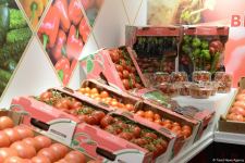 Caspian Agro, InterFood Azerbaijan international exhibitions open in Baku (PHOTO)