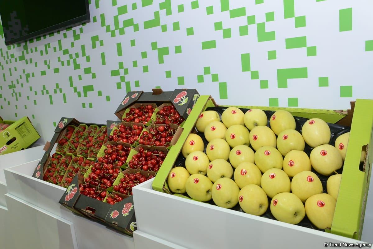 Caspian Agro, InterFood Azerbaijan international exhibitions open in Baku (PHOTO)