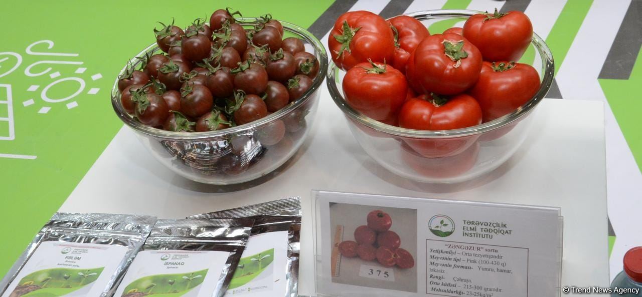 Caspian Agro, InterFood Azerbaijan international exhibitions open in Baku (PHOTO)