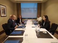 Israel, Azerbaijan to develop strategic plan to promote ties in agriculture - Minister Oded Forer (Interview) (PHOTO/VIDEO)