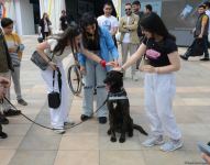 TEKNOFEST Int'l Aviation, Space & Technology Festival kicks off in Baku (PHOTO/VIDEO)