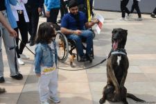 TEKNOFEST Int'l Aviation, Space & Technology Festival kicks off in Baku (PHOTO/VIDEO)