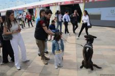 TEKNOFEST Int'l Aviation, Space & Technology Festival kicks off in Baku (PHOTO/VIDEO)