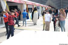 TEKNOFEST Int'l Aviation, Space & Technology Festival kicks off in Baku (PHOTO/VIDEO)