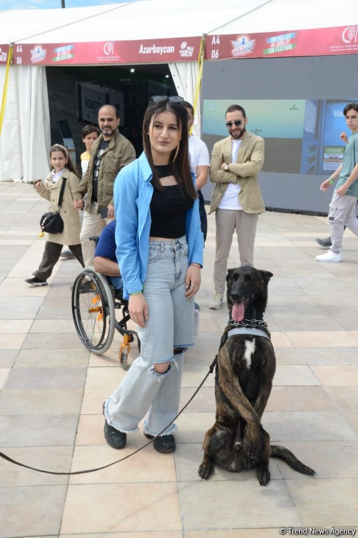 TEKNOFEST Int'l Aviation, Space & Technology Festival kicks off in Baku (PHOTO/VIDEO)