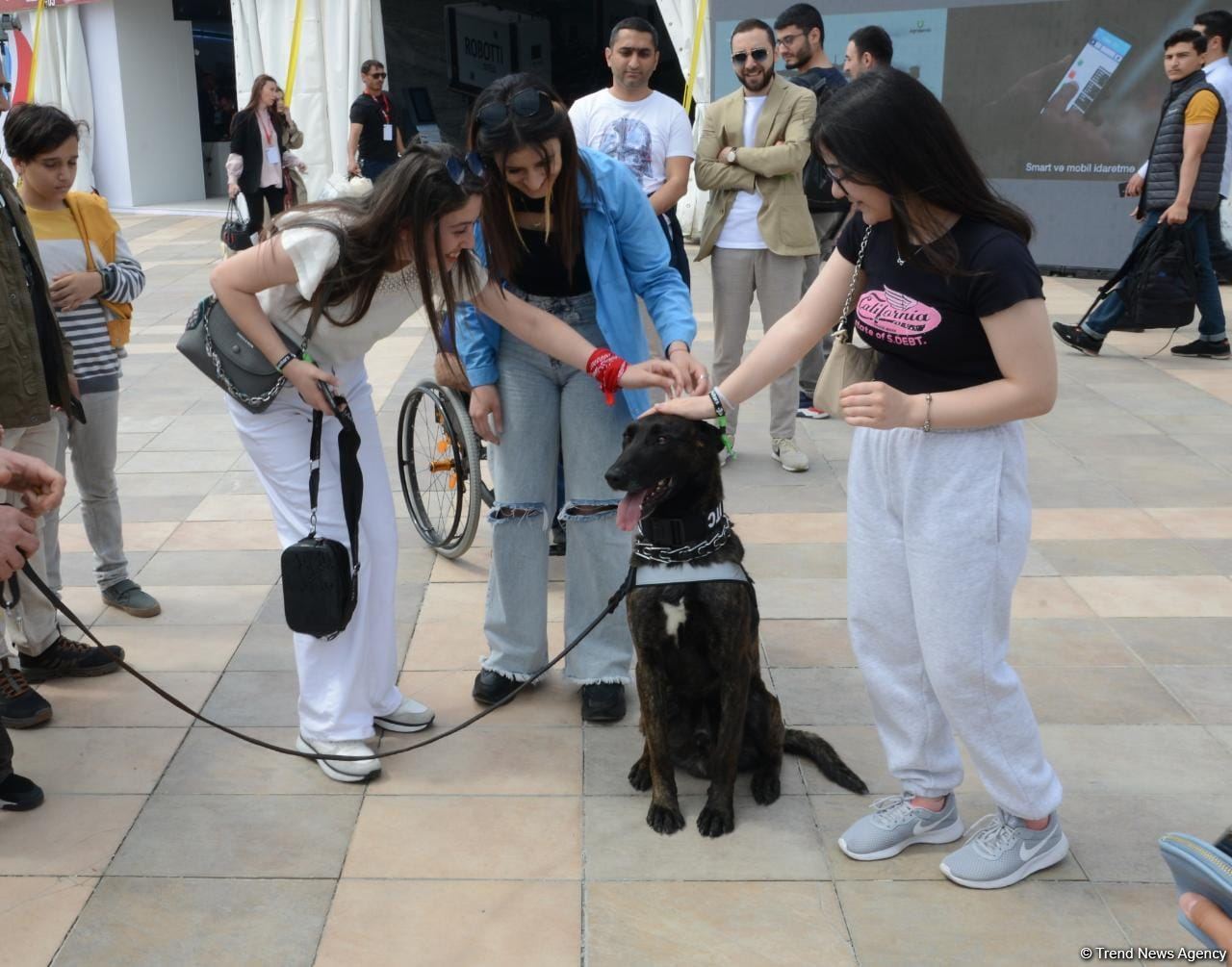 TEKNOFEST Int'l Aviation, Space & Technology Festival kicks off in Baku (PHOTO/VIDEO)