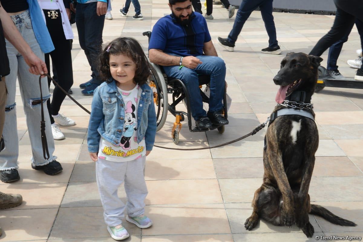 TEKNOFEST Int'l Aviation, Space & Technology Festival kicks off in Baku (PHOTO/VIDEO)