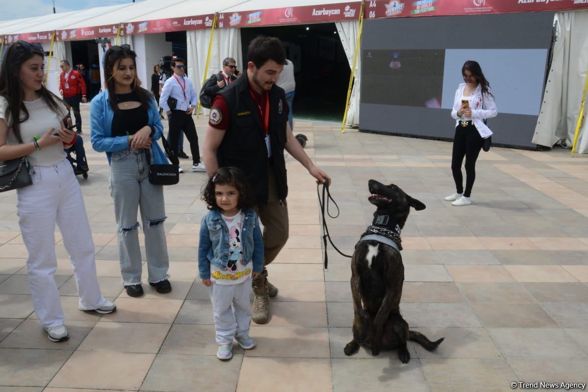 TEKNOFEST Int'l Aviation, Space & Technology Festival kicks off in Baku (PHOTO/VIDEO)