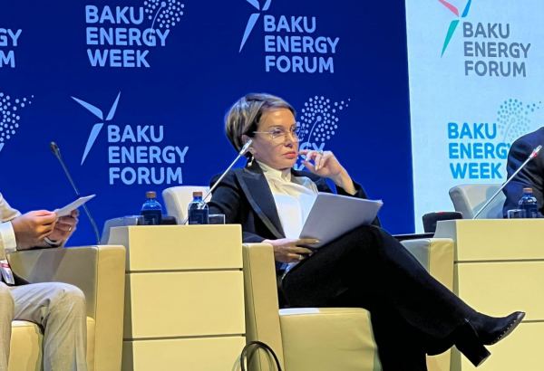 Azerbaijan’s SOCAR to reach zero carbonization in next ten years – SOCAR’s VP