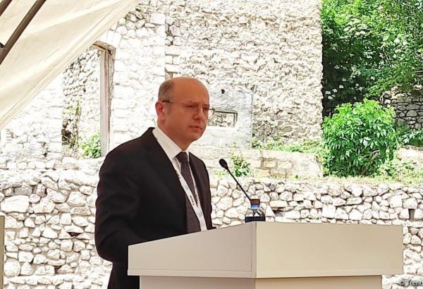 Azerbaijan's Karabakh region, East Zangazur provided with power lines