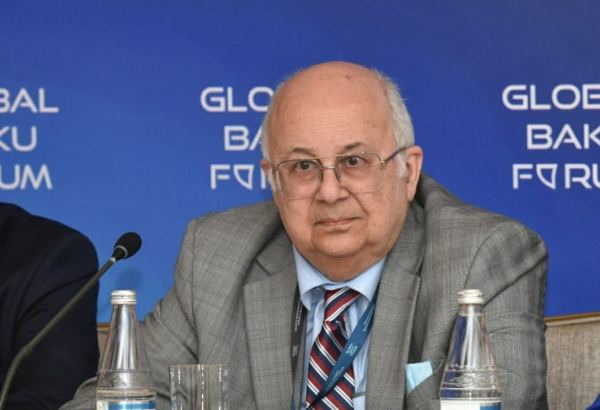 Restoration of Azerbaijan’s Karabakh important issue on agenda, says co-chairman