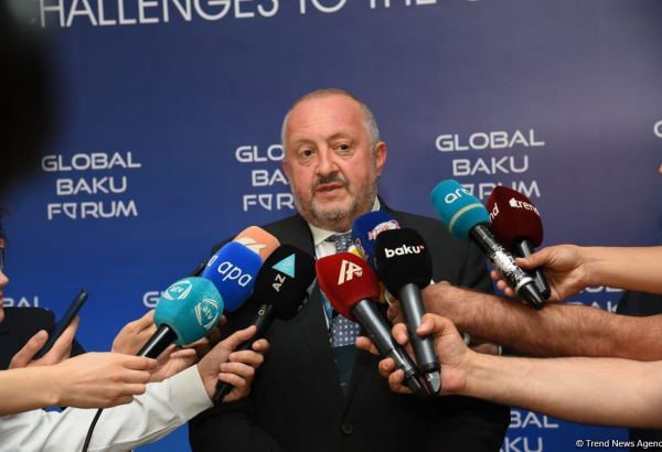 Georgia needs to be within single format for resolving issues of peace, dev't of S.Caucasus - former president