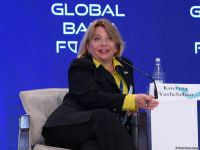 Состоялось первое панельное заседание в рамках IX Глобального Бакинского Форума (ФОТО)