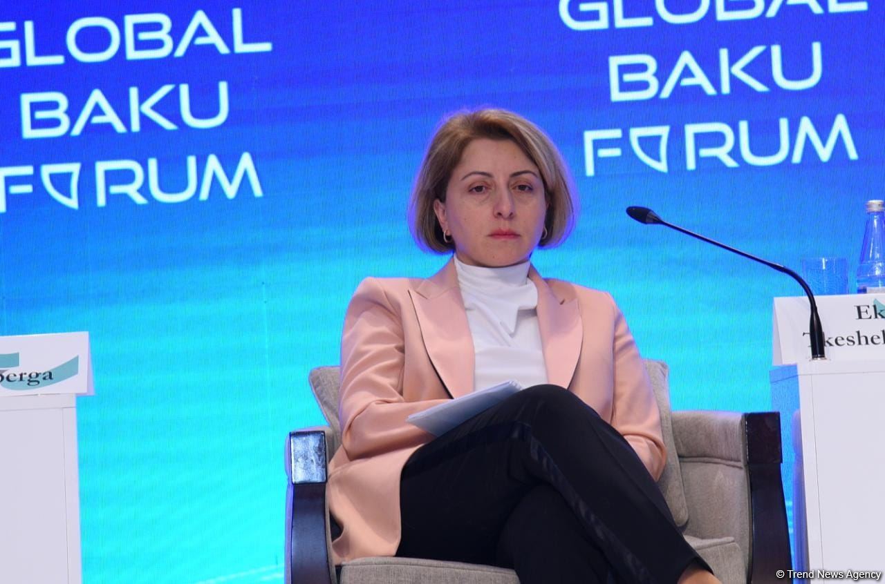 Состоялось первое панельное заседание в рамках IX Глобального Бакинского Форума (ФОТО)