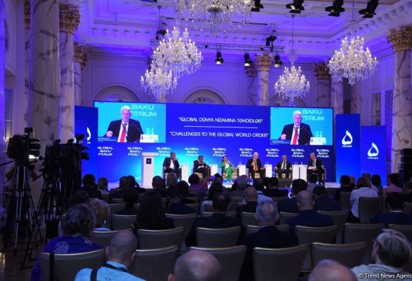 IX Global Baku Forum participants discuss health governance issues (PHOTO)