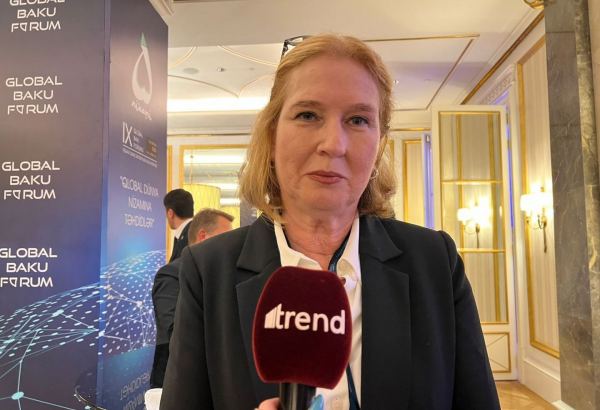 Azerbaijan-Israel relations have great dev't prospects - former Israeli minister