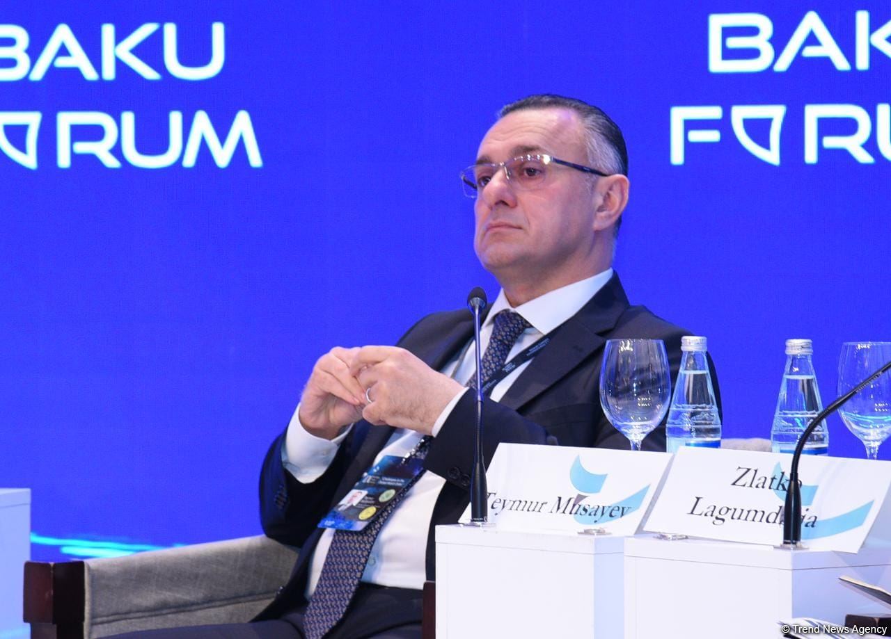 IX Global Baku Forum participants discuss health governance issues (PHOTO)